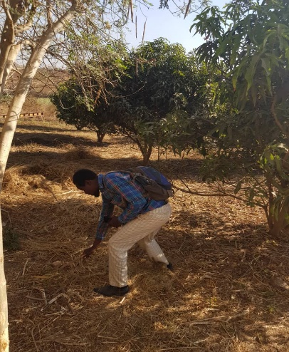 Apprentissage agricole entre membres de Fraternité