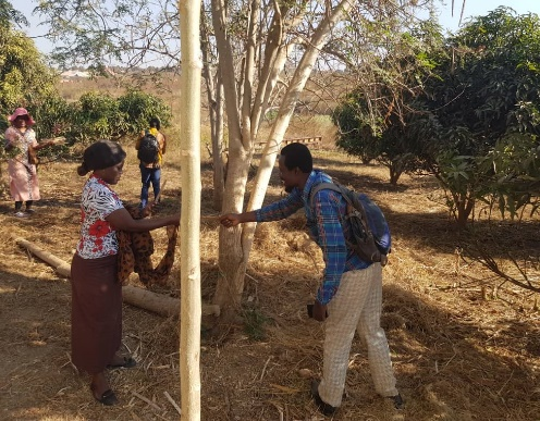 Groupe lors d’un apprentissage dans la ferme